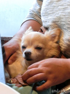 20171022�y�b�g�X�e�[�V�����v�`�m