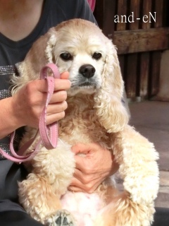 20171101 �A�C�g�[���J�t�F