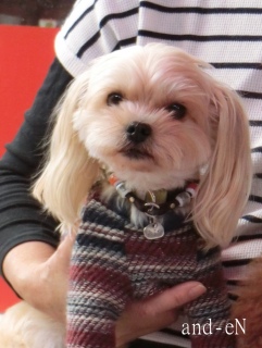 20171101 �A�C�g�[���J�t�F