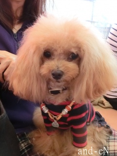 20171101 �A�C�g�[���J�t�F