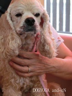 20180704 �A�C�g�[���J�t�F