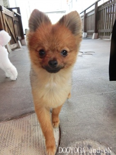 20180704 �A�C�g�[���J�t�F